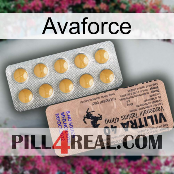 Avaforce 41